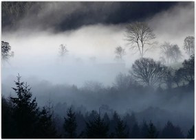 Tablou cu ceță deasupra pădurii (70x50 cm)