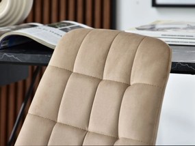 Scaun Eleanor (bej + negru). 1110004