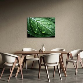 Tablou - Detaliu de frunze după ploaie (70x50 cm)