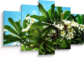 Tablou - Plumeria (150x105 cm)