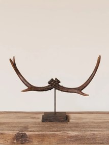 Decorațiune coarne de cerb din rășină pe suport metalic