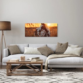 Tablou - Cal la Apus (120x50 cm)
