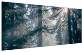 Tablou cu copaci și soarele translucind (120x50 cm), în 40 de alte dimensiuni noi