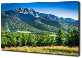 Imprimare tablou canvas Dealul din tatra