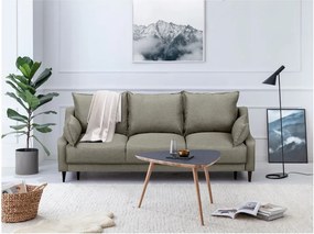 Canapea extensibilă cu spațiu pentru depozitare Mazzini Sofas Ancolie, maro deschis, 215 cm