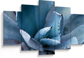 Tablou - Agave (150x105 cm)