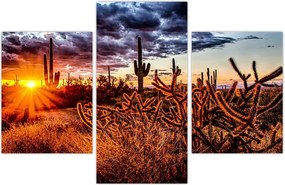 Tablou - Ora aurie a deșertului (90x60 cm)