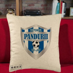 Perna Personalizata Pandurii Targu Jiu Fotbal, 40x40 cm, Bej, Husa Detasabila, Perna Inclusa, BEKZ®
