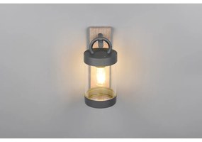 Corp de iluminat pentru exterior, de perete (înălțime 33 cm) Sambesi – Trio