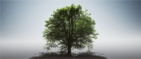 Tablou - Copacul singuratic (120x50 cm)