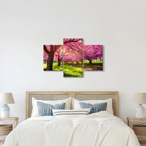 Tablou - Cireși înfloriți, Hurd Park, Dover, New Jersey (90x60 cm)