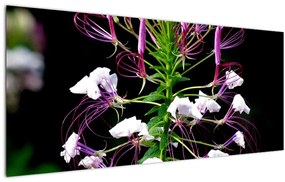 Tablou cu floare (120x50 cm)