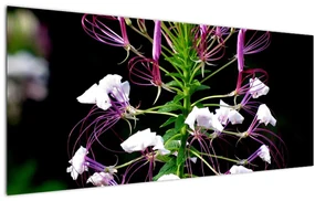 Tablou cu floare (120x50 cm)