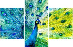 Tablou - Păun (90x60 cm)