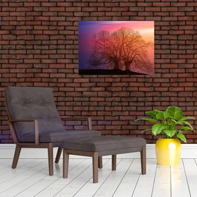 Tablou pe sticlă pomilor în ceață (70x50 cm)