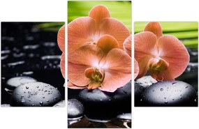 Tablou - Orhidee portocalie cu frunze de palmier (90x60 cm)