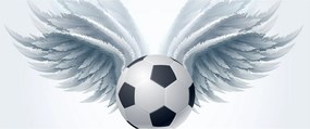 Tablou - Balon cu aripi (120x50 cm)