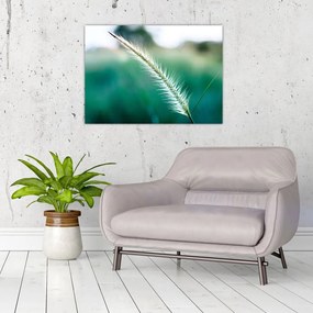 Tablou pe sticlă cu fir de iarbă (70x50 cm)