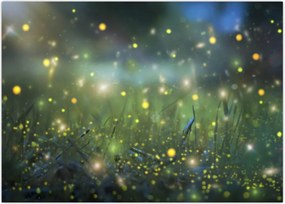 Tablou - Noapte fermecată (70x50 cm)