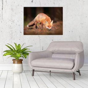 Tablou - Vulpe in pădure (70x50 cm)