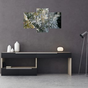 Tablou - Detaliu ramură (90x60 cm)