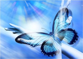 Tablou - Fluture, simbolul speranței (70x50 cm)