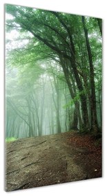 Imagine de sticlă Ceață în pădure