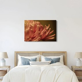 Tablou cu detailu florii (90x60 cm)