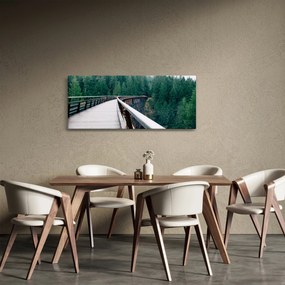 Tablou - Pod spre vârfurile copacilor (120x50 cm)