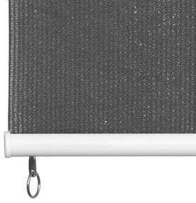 Jaluzea tip rulou de exterior, 100 x 140 cm, antracit Antracit, 100 x 140 cm