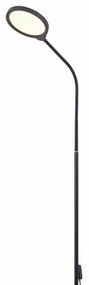 Lampadar LED dimabil 2 în 1 LED/10W/230V 3000-4500-6500K negru