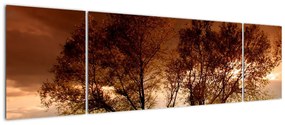 Tablou - natură (170x50cm)