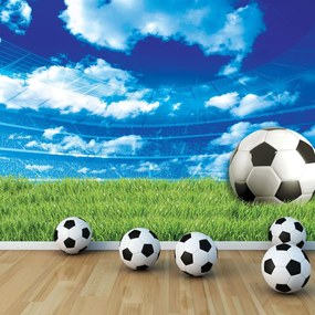 Fototapet - Fodbal pe iarbă (152,5x104 cm), în 8 de alte dimensiuni noi