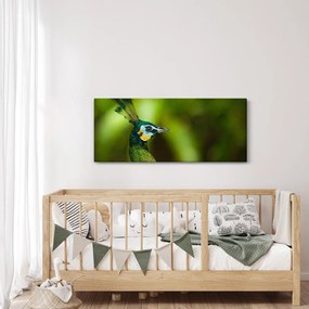 Tablou cu păun (120x50 cm)