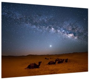 Tablou - Noapte in deșert (70x50 cm)