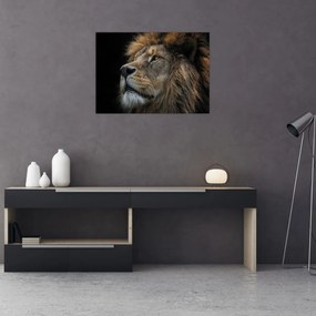Tablou - Leul maiestuos (70x50 cm)