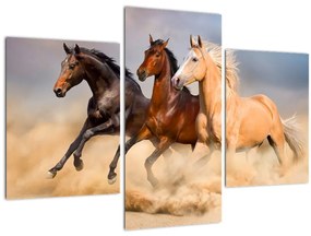 Tablou - Cai sălbatici (90x60 cm)