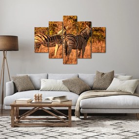 Tablou cu zebre (150x105 cm)