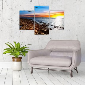 Tablou - Pescărușul zboară deasupra coastei (90x60 cm)