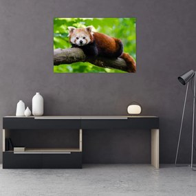 Tablou cu panda roșie (90x60 cm)