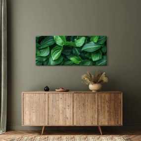 Tablou - Frunze verzi (120x50 cm)