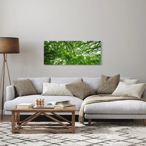 Tablou - privire în coroanele pomilor (120x50 cm)