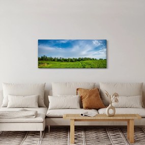 Tablou cu luncă (120x50 cm)