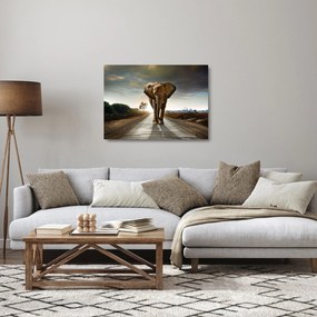Tablou pe sticlă cu elefant (70x50 cm)