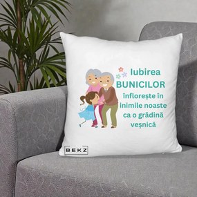 Cadou pentru Bunici - Perna Personalizata Bunicii Iubirea Infloreste cu Nepoata Teal, 40x40 cm, Alb Pufos, Husa Detasabila, Perna Inclusa, BEKZ®