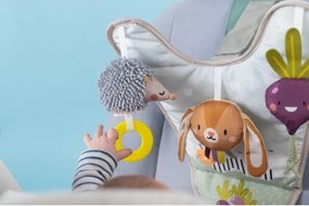 Centru de joacă auto Grădină Taf Toys