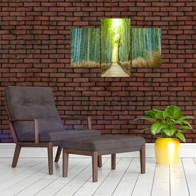 Tablou - Pădure de bambus (90x60 cm)