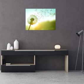 Tablou pe sticlă - Păpădia în vânt (70x50 cm)