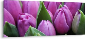 Tablou - florile lalelelor (120x50 cm)