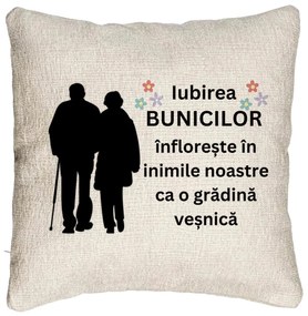 Perna Decorativa Canapea pentru Bunici 1, 40x40 cm, Cu fermoar